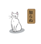 お江戸猫（個別スタンプ：9）