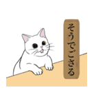 お江戸猫（個別スタンプ：11）
