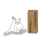 お江戸猫（個別スタンプ：22）