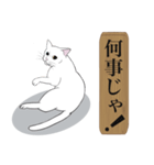 お江戸猫（個別スタンプ：27）