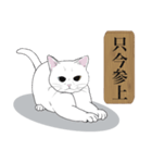 お江戸猫（個別スタンプ：37）