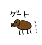 ほーだいせいのためのキモカワ動物図鑑（個別スタンプ：11）