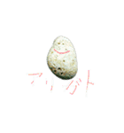おとうさんの石のスタンプ（個別スタンプ：29）