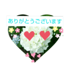 紫陽花シリーズ（個別スタンプ：6）