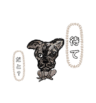 恐怖顔の犬（個別スタンプ：2）