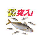 釣り語系『今日のなにがし』（個別スタンプ：3）