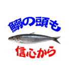 釣り語系『今日のなにがし』（個別スタンプ：13）