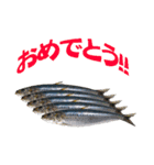 釣り語系『今日のなにがし』（個別スタンプ：14）