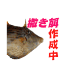 釣り語系『今日のなにがし』（個別スタンプ：17）