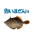 釣り語系『今日のなにがし』（個別スタンプ：18）