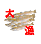 釣り語系『今日のなにがし』（個別スタンプ：22）