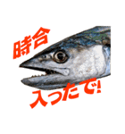 釣り語系『今日のなにがし』（個別スタンプ：35）