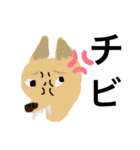 けんごと犬のスタンプ（個別スタンプ：16）