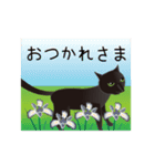 動く！イケメン猫（個別スタンプ：7）