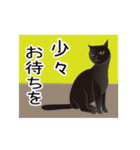 動く！イケメン猫（個別スタンプ：9）