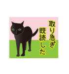 動く！イケメン猫（個別スタンプ：12）