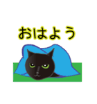 動く！イケメン猫（個別スタンプ：17）