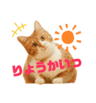 いろいろ了解スタンプ（個別スタンプ：1）