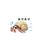 海のなかまスタンプ（個別スタンプ：19）