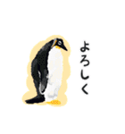 海のなかまスタンプ（個別スタンプ：31）