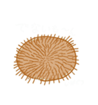 いがぐりさん（個別スタンプ：6）