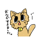 ねこ ねこ さかな（個別スタンプ：1）