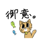 ねこ ねこ さかな（個別スタンプ：13）
