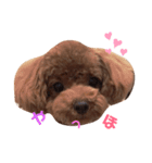 Johndayo3（個別スタンプ：1）