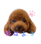 Johndayo3（個別スタンプ：2）