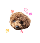 Johndayo3（個別スタンプ：4）