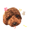 Johndayo3（個別スタンプ：5）