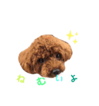 Johndayo3（個別スタンプ：6）
