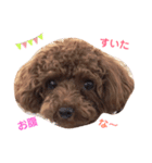Johndayo3（個別スタンプ：7）