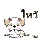 シーズー犬（タイ語Ver.）（個別スタンプ：1）