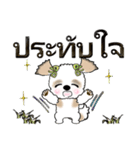 シーズー犬（タイ語Ver.）（個別スタンプ：20）