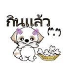 シーズー犬（タイ語Ver.）（個別スタンプ：34）