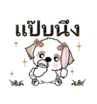 シーズー犬（タイ語Ver.）（個別スタンプ：37）