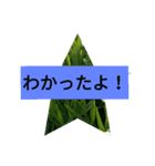 もじがうてないこどものためのスタンプ（個別スタンプ：6）