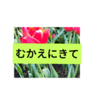 もじがうてないこどものためのスタンプ（個別スタンプ：8）