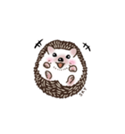 ハリネズミのカイとレイ with ファミリー（個別スタンプ：12）
