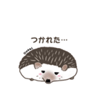 ハリネズミのカイとレイ with ファミリー（個別スタンプ：14）