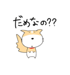 うちのレオちゃん。（個別スタンプ：10）