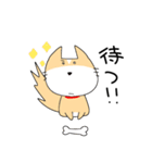 うちのレオちゃん。（個別スタンプ：13）
