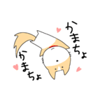 うちのレオちゃん。（個別スタンプ：15）