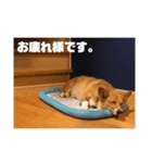 ミントのスタンプ。（個別スタンプ：6）