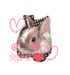 あぁ〜愛しいペット（個別スタンプ：1）