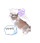 あぁ〜愛しいペット（個別スタンプ：4）