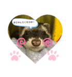 あぁ〜愛しいペット（個別スタンプ：7）