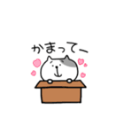 にゃんにゃんネコさん（個別スタンプ：11）