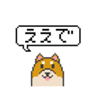 ドット絵！関西弁の柴犬（個別スタンプ：1）